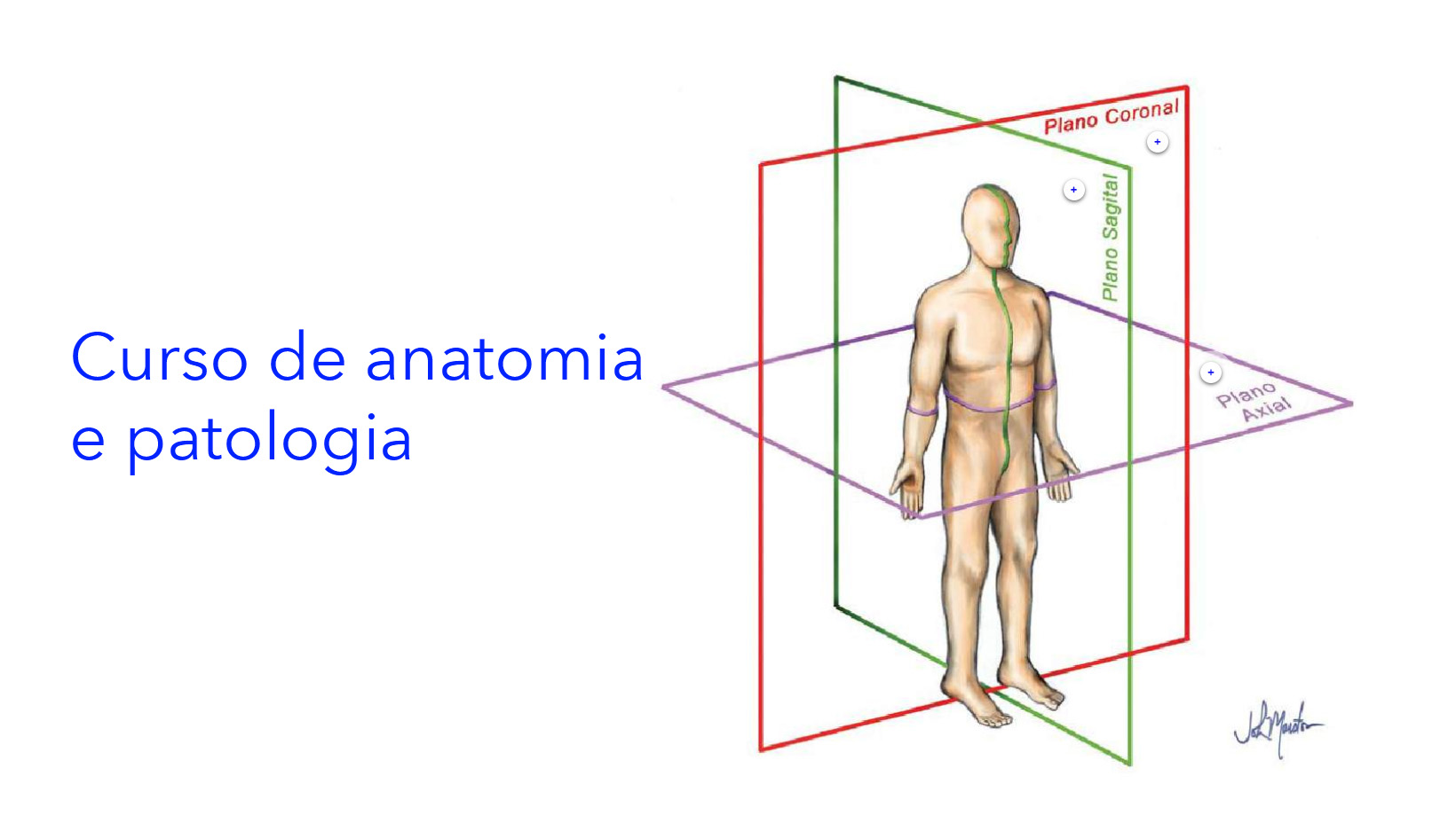Curso de anatomia e patologia